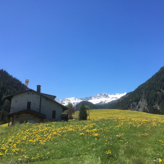 Wiese neben dem Haus mit Blick auf den italienischen Piz Scalino